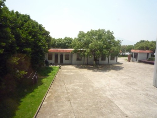 P1020704_conew1.JPG