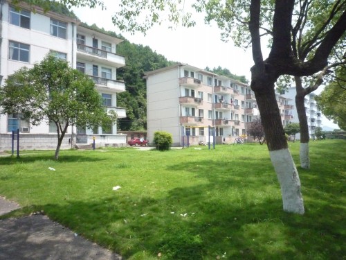 P1020703_conew1.JPG