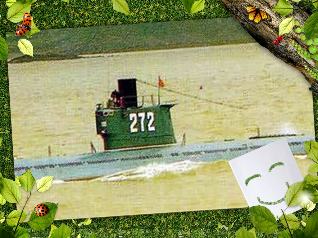 272t.jpg