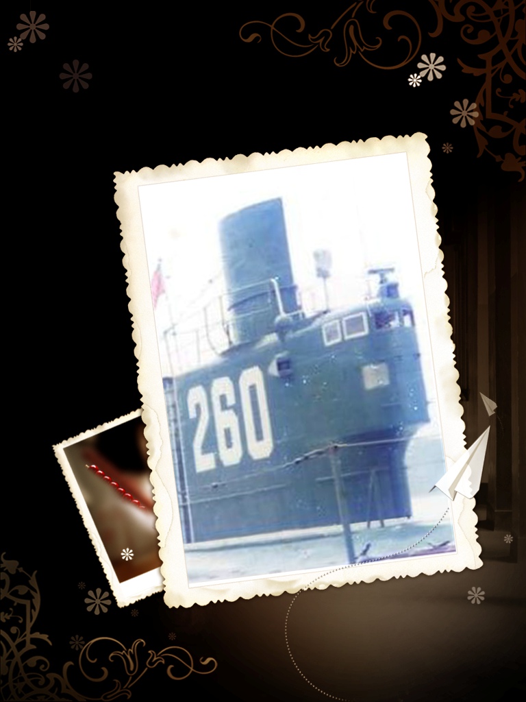 2601.jpg