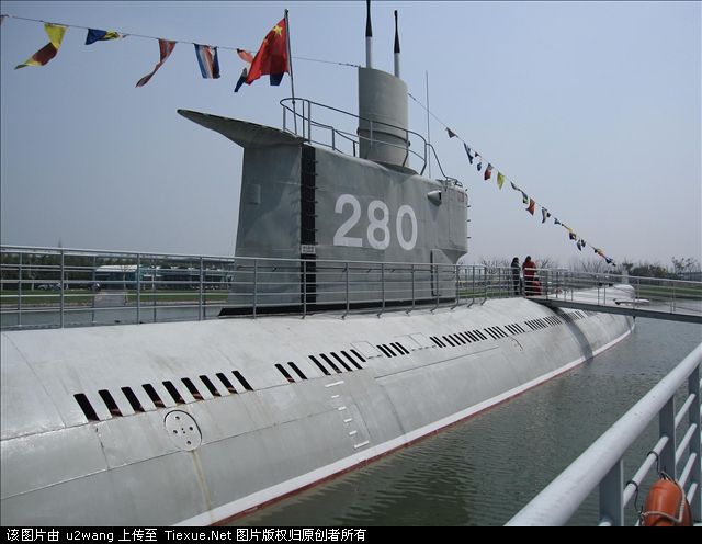 10984534.jpg