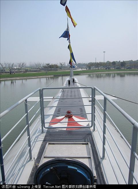 10984535.jpg