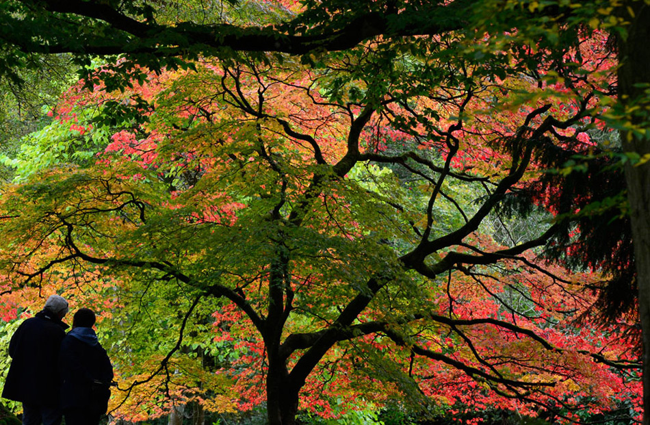 rdn_508a6c46df886.jpg