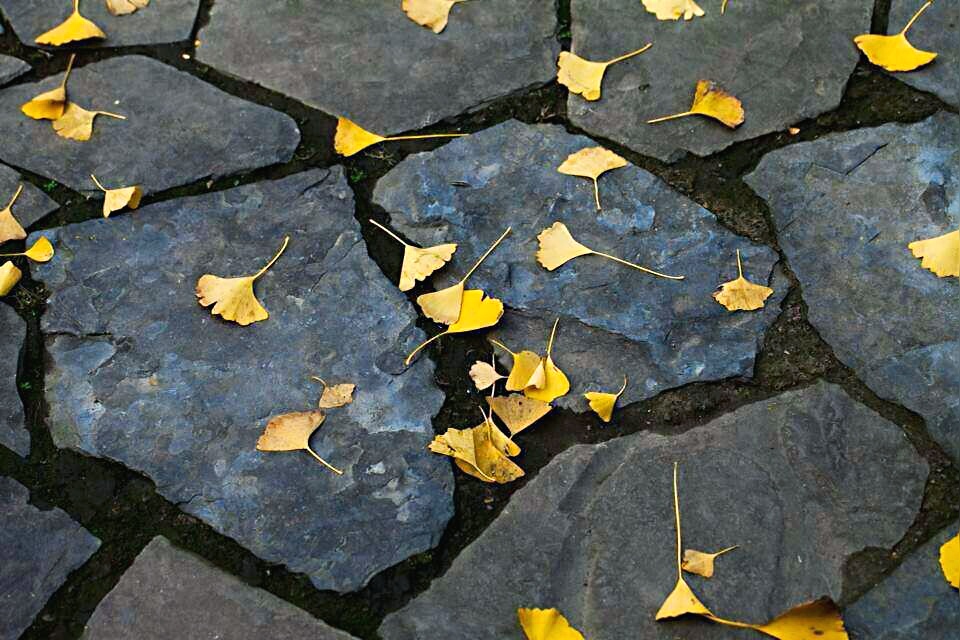 51 (2).jpg