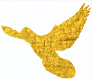 get?code=YjJkYmVmYzExNTNkYzdlNmNlNWIxNDhjNGEzOTE1NjksMTY1NzE2MTE1OTU2Nw==.jpg