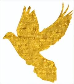 get?code=OTgxMzBiNDFiMTJjMGQzMDQ3MTk0YTZmODA4Y2Q0YjQsMTY1NzE2MTE1OTU2Nw==.jpg