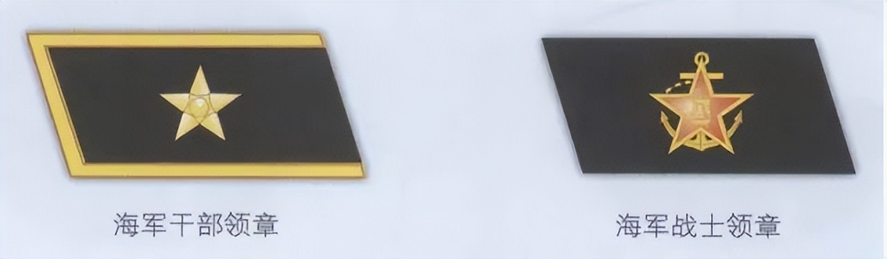 get?code=NWQ1M2MwYzcwYTYxMDM1YjQ5ZTQ2M2MxZDg5MjI5Y2MsMTY1NzE2MTE1OTU2NA==.jpg