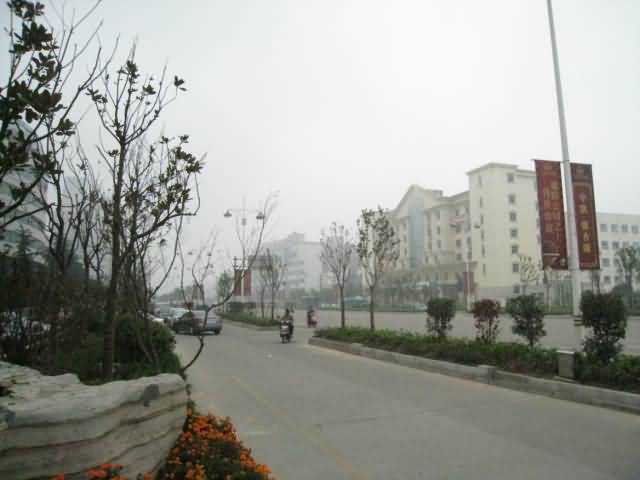 IMG_0891.jpg